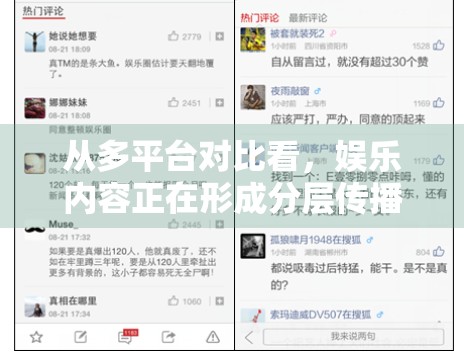 从多平台对比看，娱乐内容正在形成分层传播结构